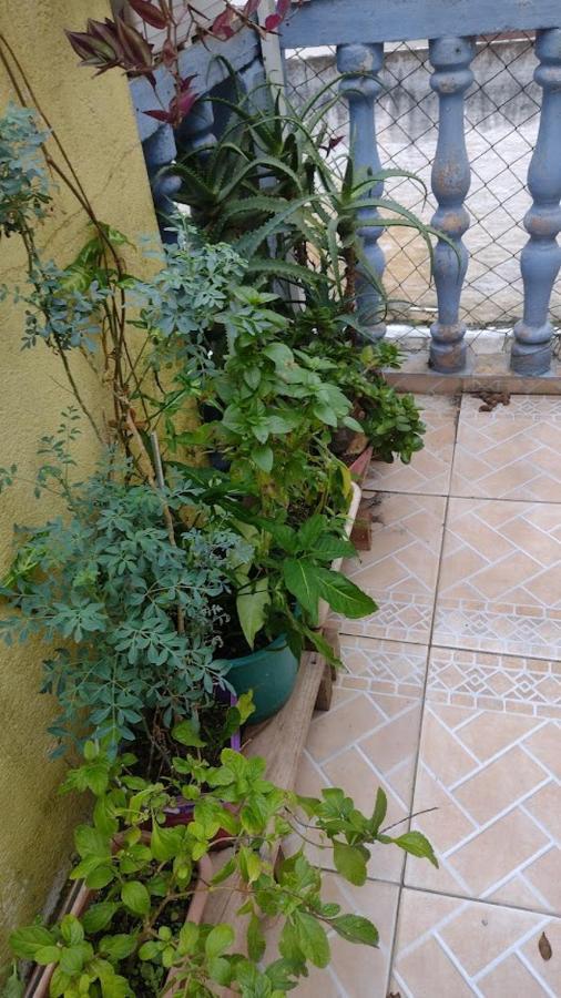 Hospedagem Domiciliar Alternativa Balneário Camboriú Kültér fotó
